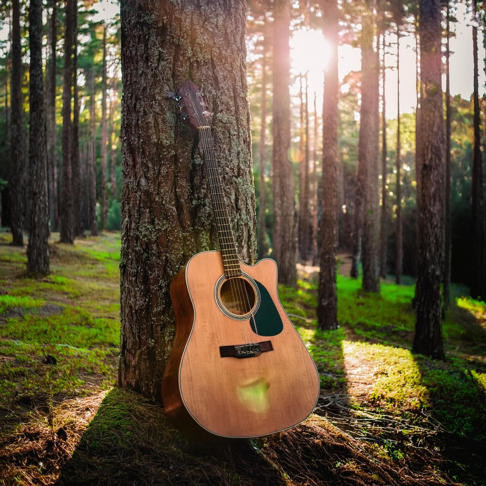 Vibraciones Serenas De Guitarra