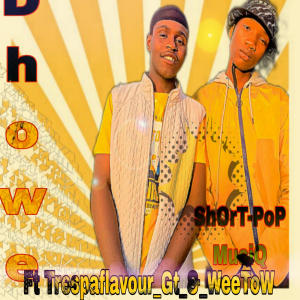 收聽ShOrT-PoP_MusiQ的Namela_Re_Dhowe (feat. Trespaflavour_Gt & WeeToW)歌詞歌曲