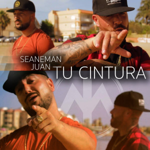 Listen to Tu Cintura song with lyrics from Seaneman