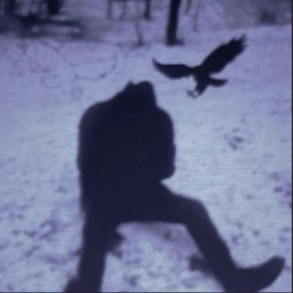 i can't kill myself (Explicit)