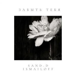 Ismailoff的专辑Забыть тебя