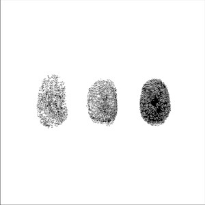 Album MarginalS (II) from Thiago França