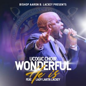 ดาวน์โหลดและฟังเพลง Wonderful He Is (feat. Lady Lakita Lackey) พร้อมเนื้อเพลงจาก Bishop Aaron B. Lackey and the UCOGIC CHOIR