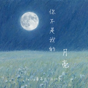 Album 你不是我的月亮 from Felicia蔡菲凡