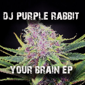 DJ Purple Rabbit的專輯Your Brain - EP