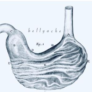 收聽Malaika的bellyache歌詞歌曲