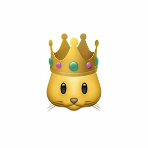 Listen to Profileurs song with lyrics from Catboot