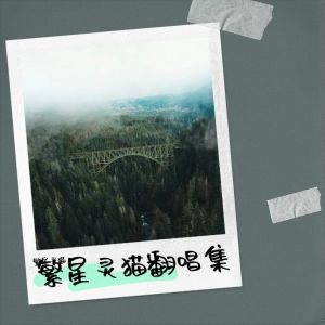 Listen to 烛火中泪目 (cover: 安儿陈) (完整版) song with lyrics from 李臣宝