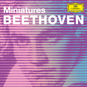 ดาวน์โหลดและฟังเพลง Beethoven: 33 Variations on a Waltz by Diabelli in C Major, Op. 120 - Variation XXVI พร้อมเนื้อเพลงจาก Anatol Ugorski