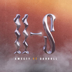 Album 11-S from Amesty