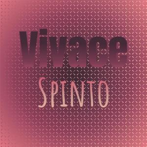 Various Artists的專輯Vivace Spinto