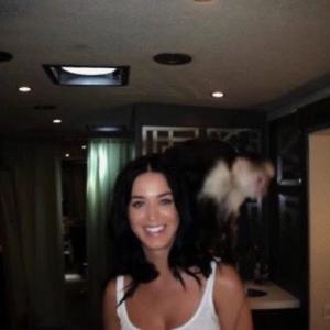 收聽Kashhkc的Katy Perry (feat. alosaken)歌詞歌曲