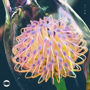 Listen to Life (Can't Get Much Better) song with lyrics from Koastle