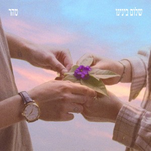 Listen to שלום בינינו song with lyrics from טהר