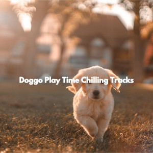 Doggo Play Time Chilling Tracks
