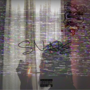 ดาวน์โหลดและฟังเพลง Snake (Explicit) พร้อมเนื้อเพลงจาก PRKILLA