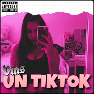 Album Un TikTok oleh Vins