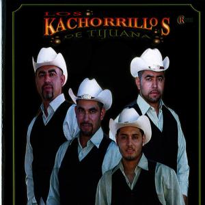 收聽Los Kachorrillos De Tijuana的Mi Vecinita歌詞歌曲