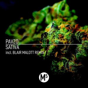 ดาวน์โหลดและฟังเพลง Sativa (Blair Malott Indica Mix) พร้อมเนื้อเพลงจาก Pavzo