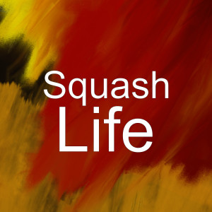 Listen to Life (Explicit) song with lyrics from Squash