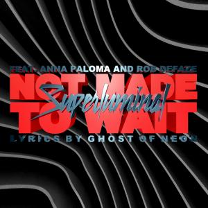收聽DJ Superluminal的Not Made to Wait (feat. Anna Paloma & Rob Defaze)歌詞歌曲