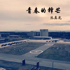 Listen to Qing Chun De Feng Mang song with lyrics from 丛真龙