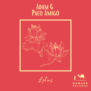 Listen to Lotus song with lyrics from Paco Amigó