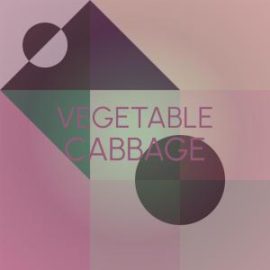 收听Annah Camer的Volatile Gourmandize歌词歌曲