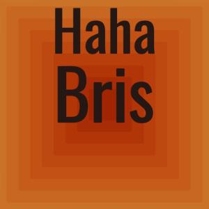 Various Artists的專輯Haha Bris