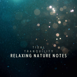 Tidal Tranquility: Relaxing Nature Notes
