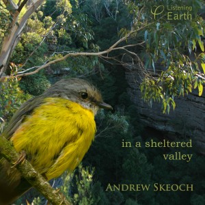 ดาวน์โหลดและฟังเพลง Superb Lyrebird and Pied Currawong พร้อมเนื้อเพลงจาก Andrew Skeoch & Sarah Koschak