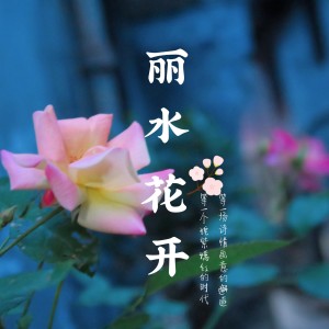 Listen to 丽水花开 (完整版) song with lyrics from 段路晨
