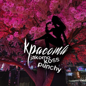 Album Красота from Jakomo