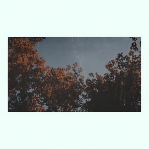 ดาวน์โหลดและฟังเพลง Can i love you พร้อมเนื้อเพลงจาก Shiloh Dynasty