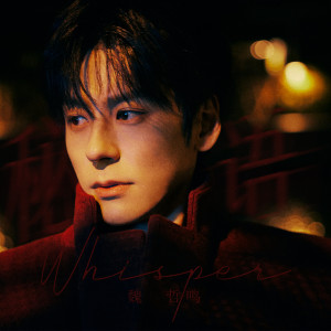 Listen to 直到路灯熄灭 song with lyrics from 魏哲鸣