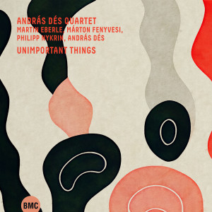 Album Unimportant Things from 