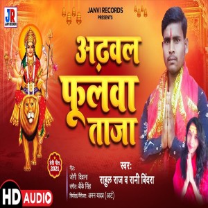 Album Odhaul Phulwa Taja from Rahul Raj