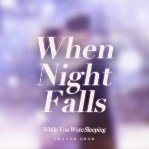 Dengarkan lagu When Night Falls(While You Were Sleeping) (From "While You Were Sleeping") nyanyian Shayne Orok dengan lirik