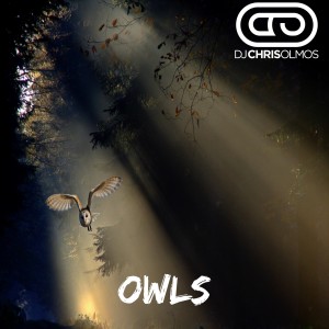 Listen to Owls song with lyrics from Dj Chris Olmos