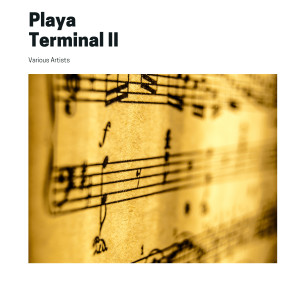 ดาวน์โหลดและฟังเพลง Playa Terminal II (Explicit) พร้อมเนื้อเพลงจาก 1605munro