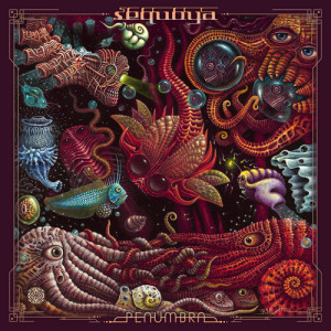 Listen to The Traveller song with lyrics from Sequoya