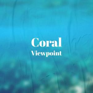 收听Millad Rusa的Taxi Authorization歌词歌曲