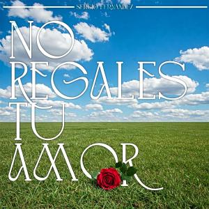 收聽Sergio Fernandez的No regales tu amor歌詞歌曲