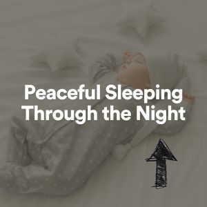 收听Baby Sleep Music的Peaceful Sleeping Through the Night, Pt. 28歌词歌曲