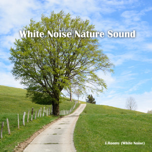 Listen to Park (ASMR, Nature Sound) song with lyrics from J.Roomy