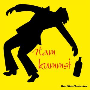 Listen to Ham kummst (Karaoke Version) song with lyrics from Die Stieflziacha