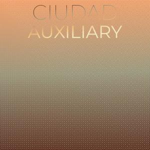 ดาวน์โหลดและฟังเพลง Quena Broadaxe พร้อมเนื้อเพลงจาก Alao Haldo