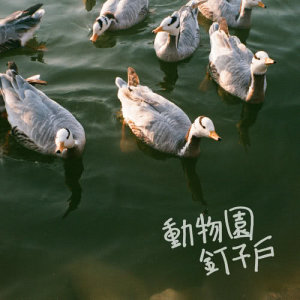 ดาวน์โหลดและฟังเพลง 動物園警鈴大作 พร้อมเนื้อเพลงจาก 动物园钉子户