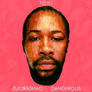 Ndu的專輯Dangerous