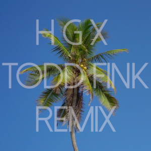 Listen to HGX (Todd Fink Remix) song with lyrics from Yes You Are